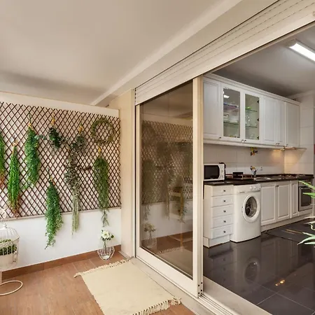 Apartment Girassol - Minho's Guest *